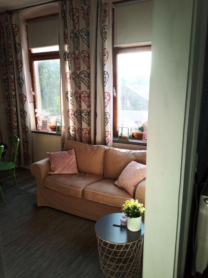 مبيت وإفطار Oelsnitz  Zur Friedrichsruh المظهر الخارجي الصورة