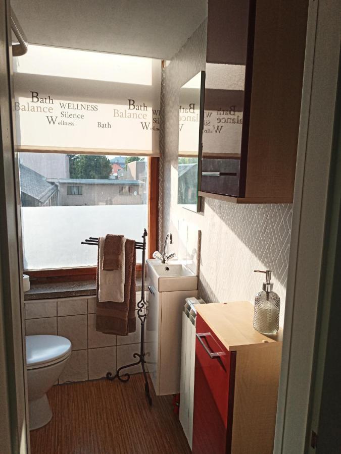 مبيت وإفطار Oelsnitz  Zur Friedrichsruh المظهر الخارجي الصورة