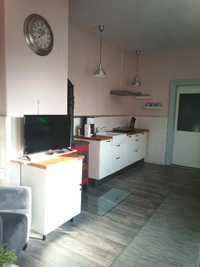 مبيت وإفطار Oelsnitz  Zur Friedrichsruh المظهر الخارجي الصورة