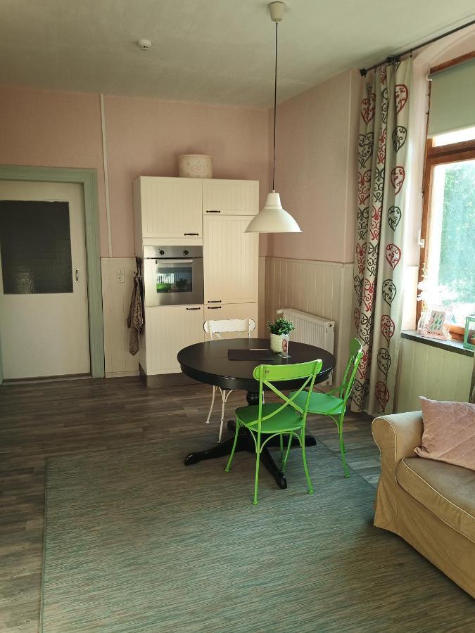 مبيت وإفطار Oelsnitz  Zur Friedrichsruh المظهر الخارجي الصورة
